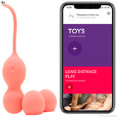 We-Vibe Bloom Vibrating Kegel Balls