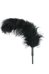 Ostrich Feather Body Tickler