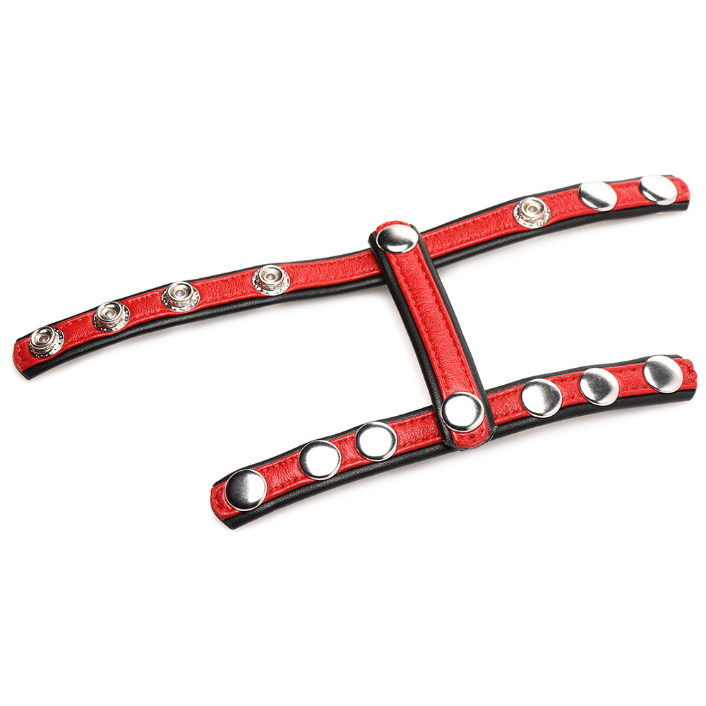 Strict Cock Gear Leather Snap-On Harness