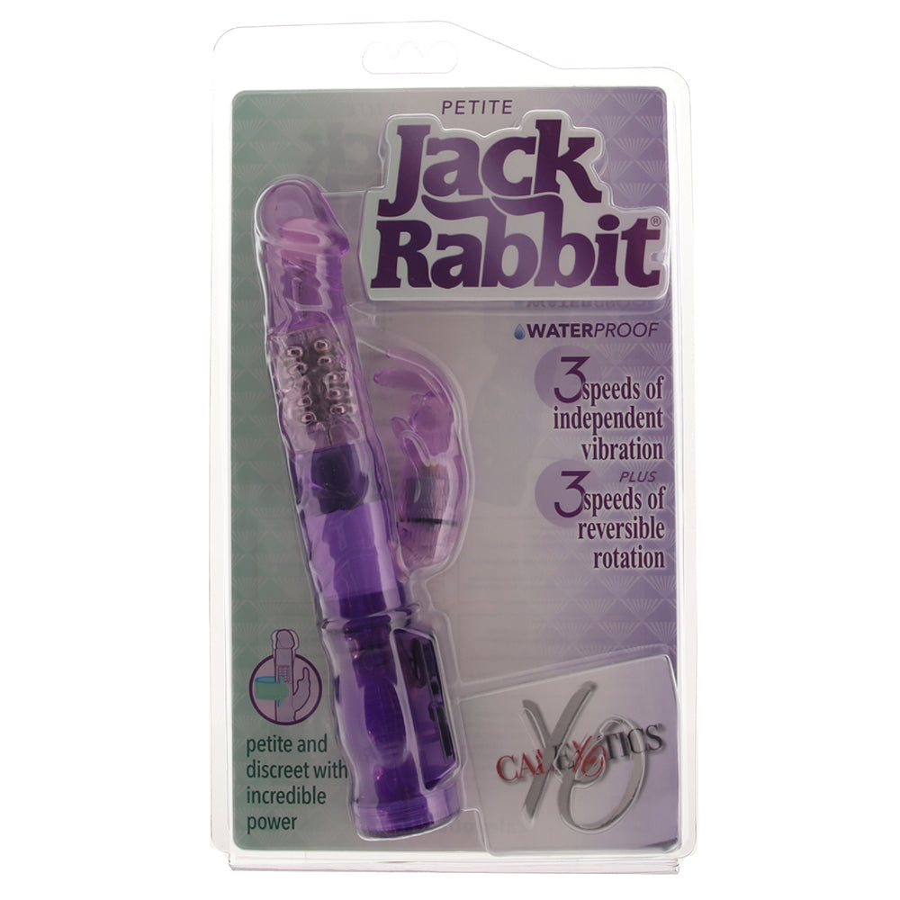 Petite Jack Rabbit Starter Vibe