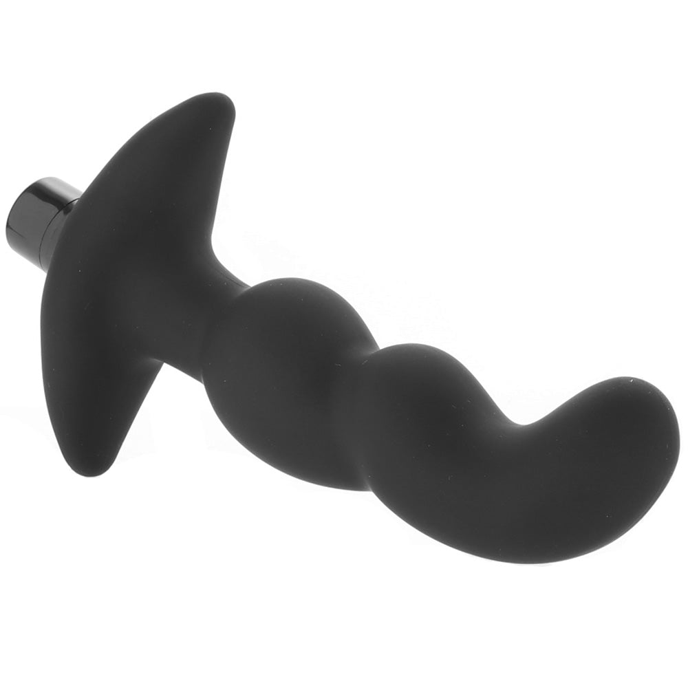 Anal Adventures Platinum Prostate Massager Vibe #03