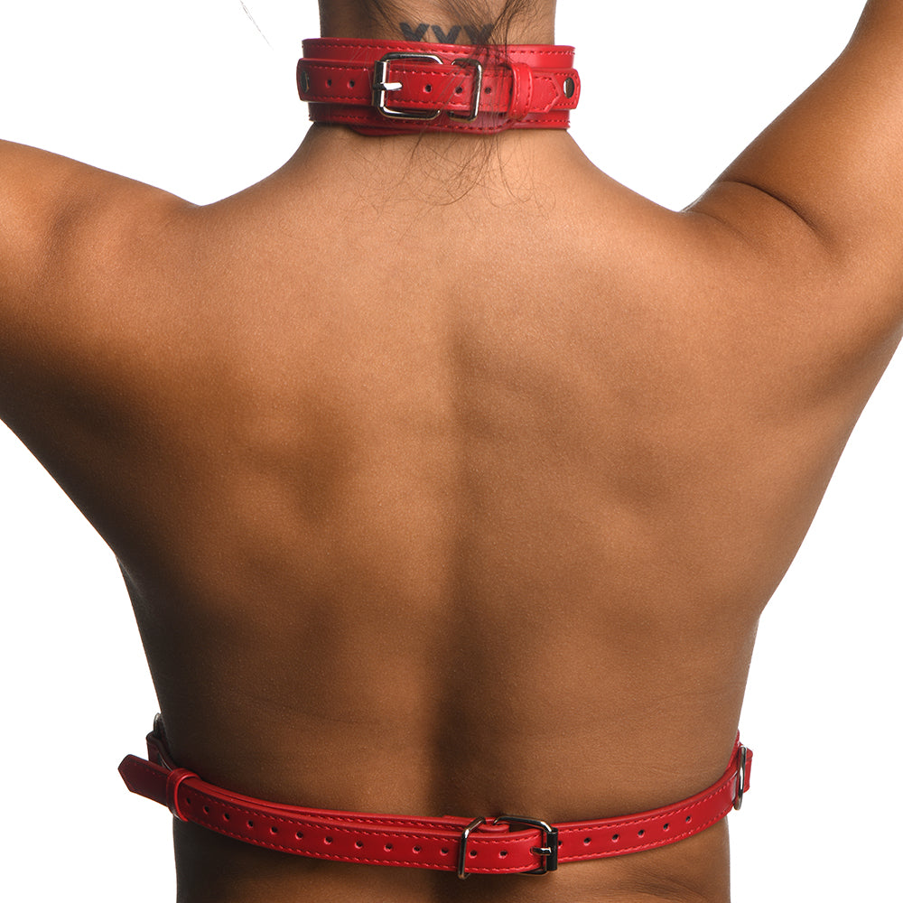 Strict Red Female Chest Harness