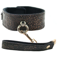 Lockable Lined Collar and Leash