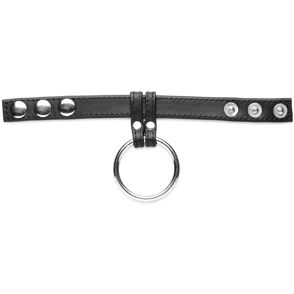 Strict Leather and Steel Cock & Ball Ring