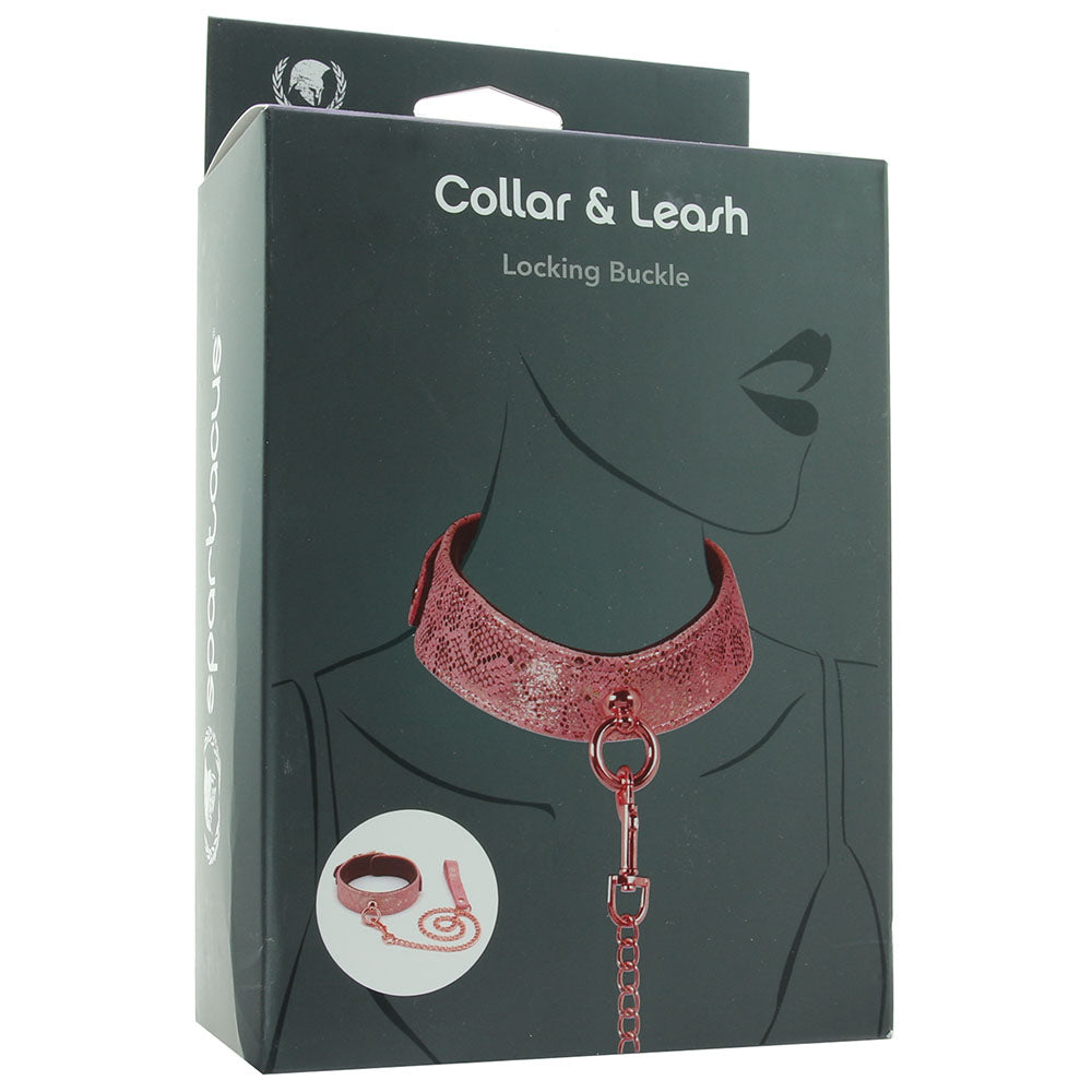 Lockable Leather Collar and Leash
