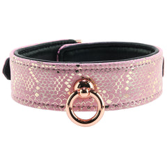 Lockable Leather Collar and Leash