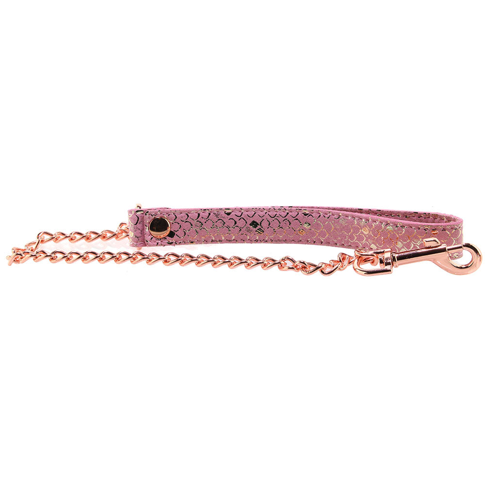 Lockable Leather Collar and Leash