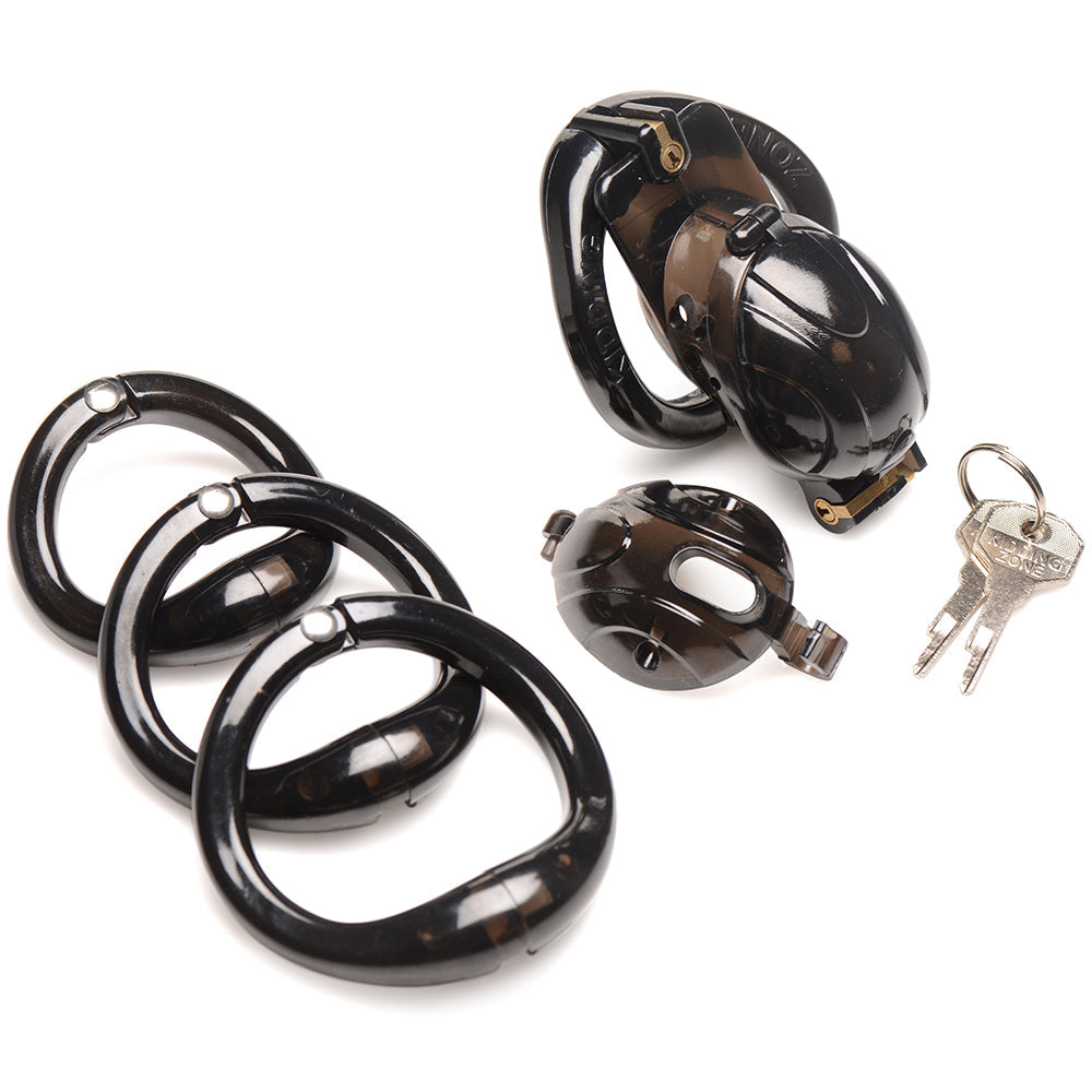 Master Series Double Lockdown Chastity Cage
