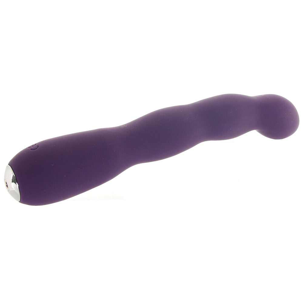 Quiver Plus Rechargeable Vibe