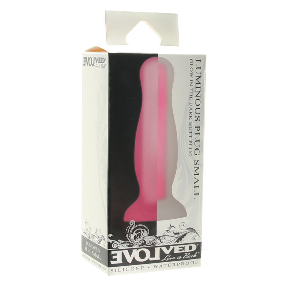 Luminous Glow In The Dark Small Butt Plug