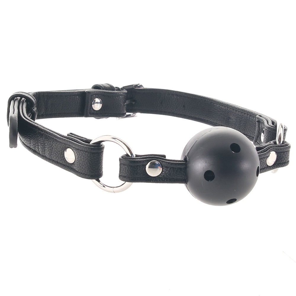 Ball Gag In A Bag