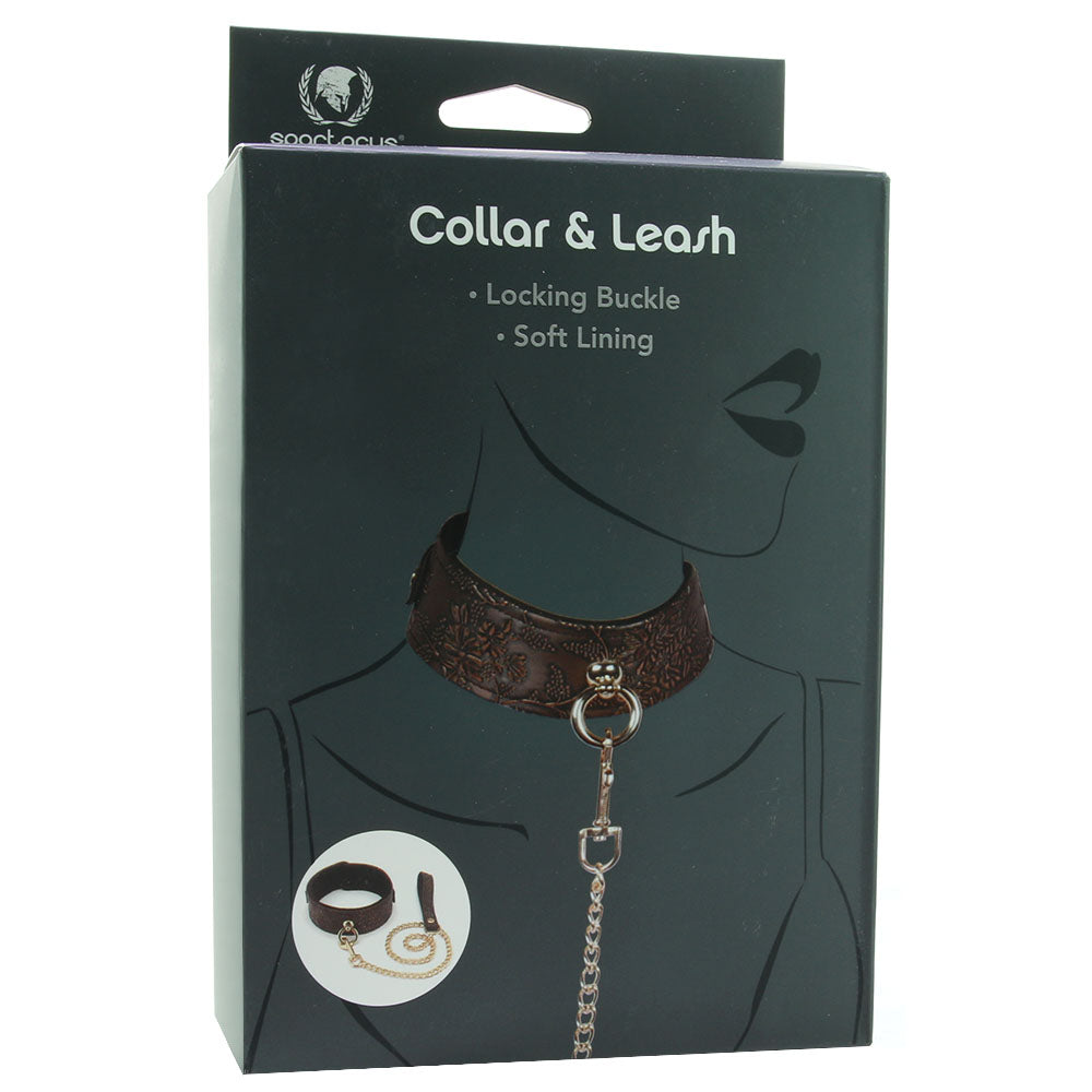 Lockable Lined Collar and Leash