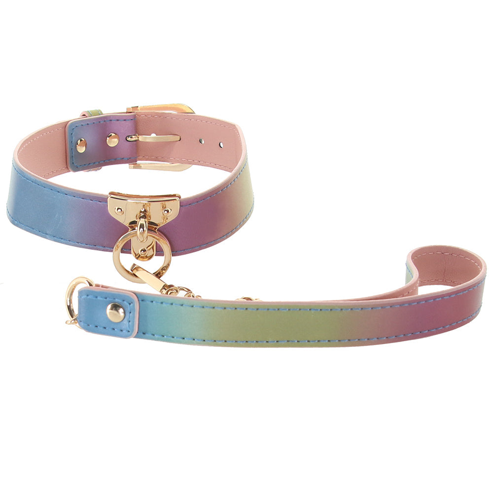 Spectra Bondage Collar & Leash