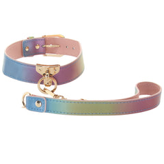Spectra Bondage Collar & Leash