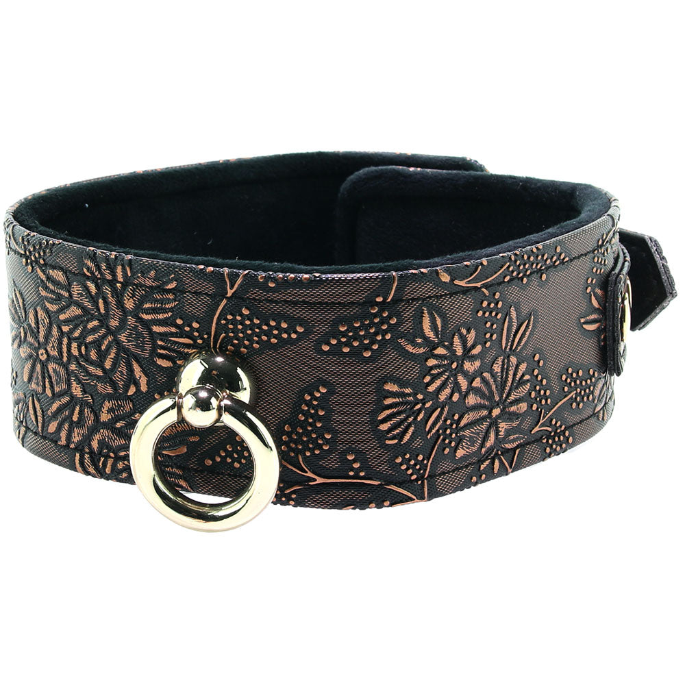 Lockable Lined Collar and Leash