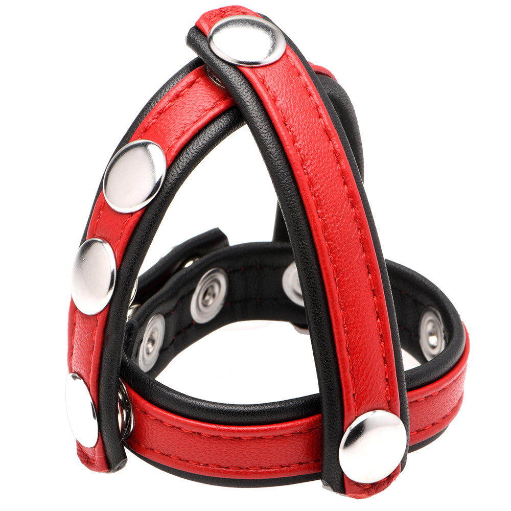 Strict Cock Gear Leather Snap-On Harness