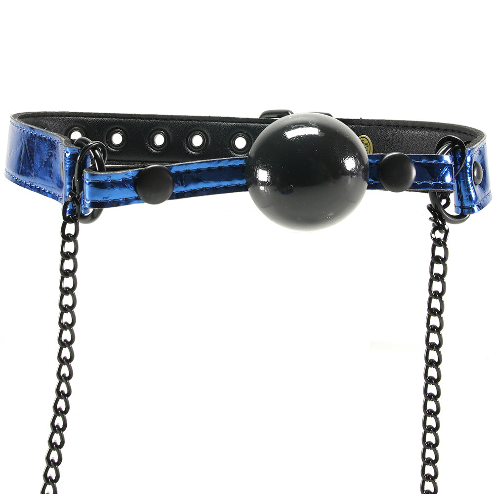 WhipSmart Ball Gag & Nipple Clamps