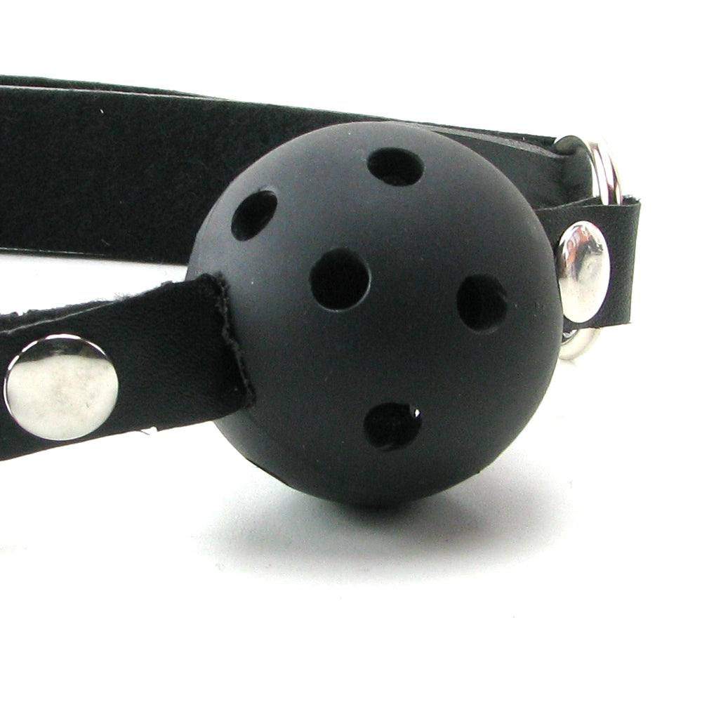 Fetish Fantasy Series Ball Gag Training System