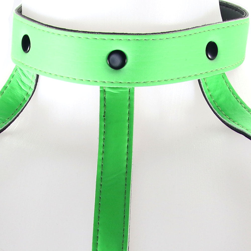 Ouch! Glow In The Dark Bra Harness